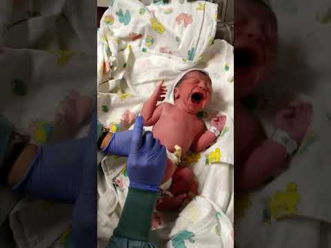 First Shots [Ezekiel Elijah Vargas]