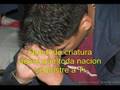 Tu eres Dios Marcos Vidal 