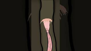 Bloodworm: METAL Fangs #animation #bloodworms #worms