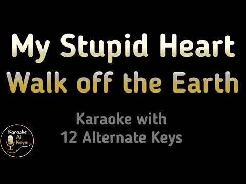 Walk off the Earth - My Stupid Heart Karaoke Instrumental Lower Higher Male Female Original Key