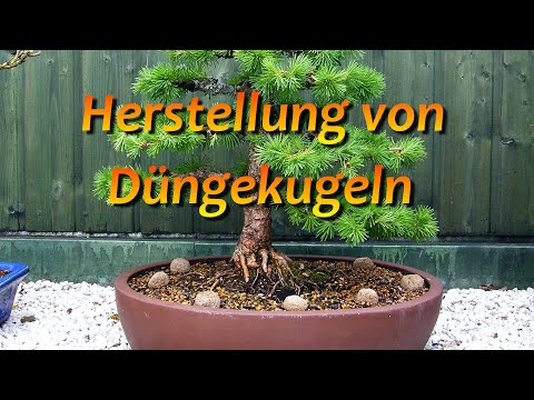 Herstellung von Bonsai-Düngekugeln
