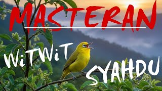 Download lagu MASTERAN PLECI NEMBAK WITWIT🔥 | Mudah Masuk Untuk Pleci Bahan Ombyokan  mp3