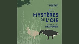 Pas si bêtes ! - Générique