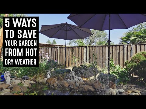 5 Ways To Save Your Garden From Scorching Hot Dry Weather!