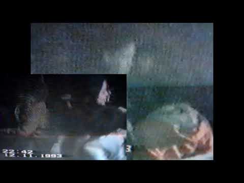 STUTTGART ONLINE TIME MACHINE-DA JE NAĐE