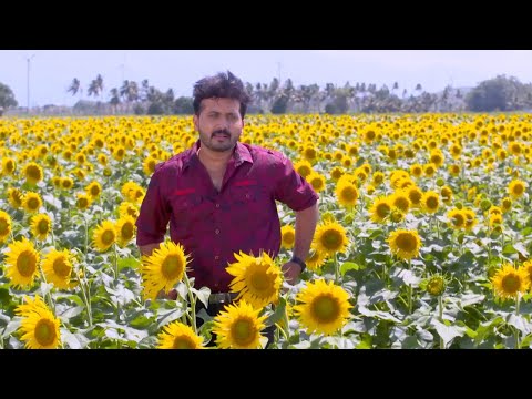 #Bhramanam | Sararth is unaware of  hidden  trouble | Mazhavil Manorama