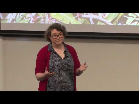 Erika Roper Three Minute Thesis Finals UWA 2017