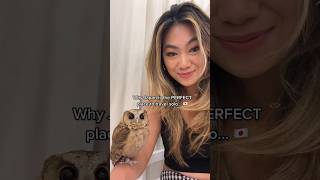 Download lagu Why JAPAN is PERFECT for solo travel...🤯 mp3 Download lagu Why JAPAN is PERFECT for solo travel...🤯 mp3