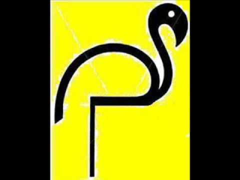 fedde le grand vs javi mula come on amplifier (this is my house) Riko Donato mash up