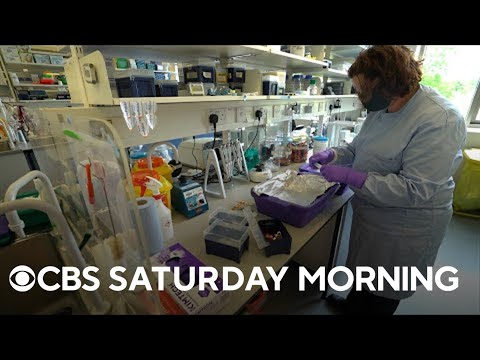 Scientists race to record genetic blueprints of all known ...