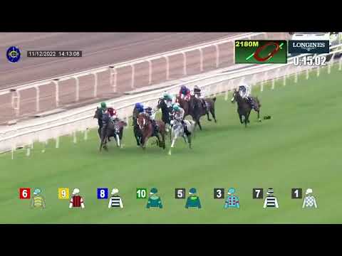 2022 HKJC SHA TIN Hong Kong Vase