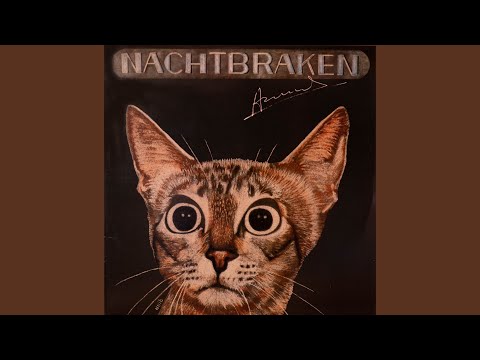 Door Het Oog Van De Naald