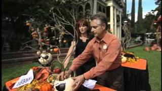 Marcy's Disney: 2010 Halloween Decor