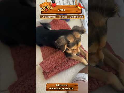 Vídeo de Chica