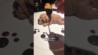 Download lagu This dog is afraid of spoons 😂 mp3