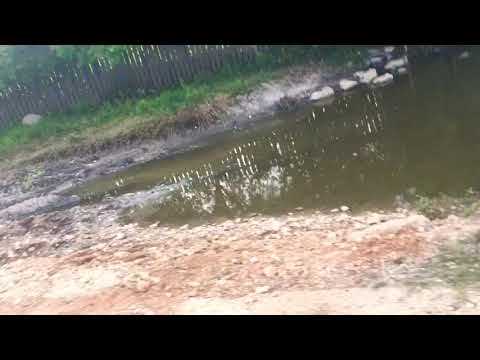 Drăcșani Teleorman (Gârla)