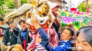 【大迫力】怒涛の練り合い噛みつく獅子神を抑え込め！石川・内灘 大根布秋季祭礼