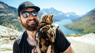 CLIMBING a MOUNTAIN with my BENGAL CAT