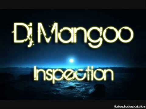 Dj mangoo - Inspection