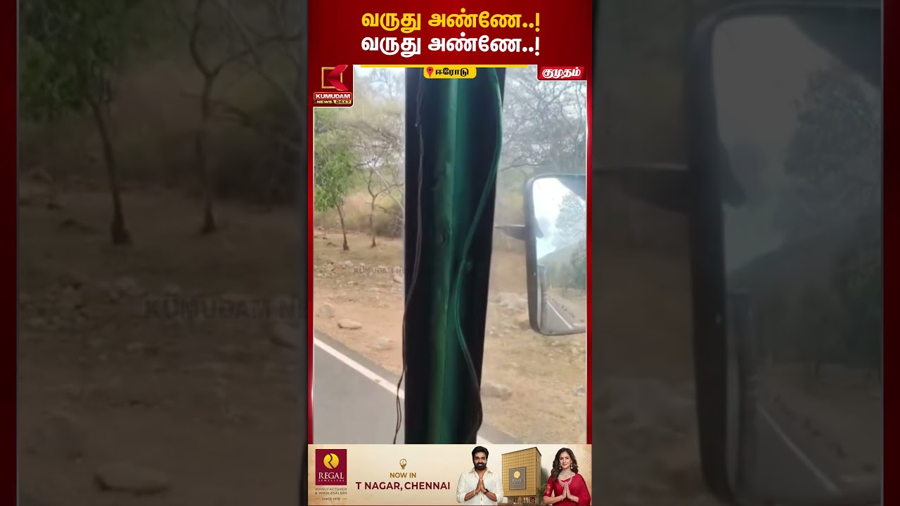கரும்பு லாரியை மடக்கிய காட்டு யானை! | WildElephant | SugarcaneLorry | Kumudam News | #shorts
