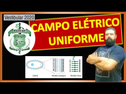 Famerp 2020 | 69 - Campo elétrico uniforme