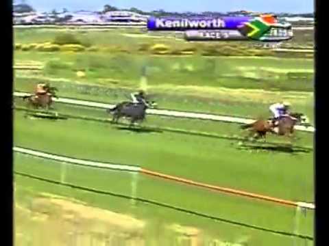 King Of Pain Green Point Group 2