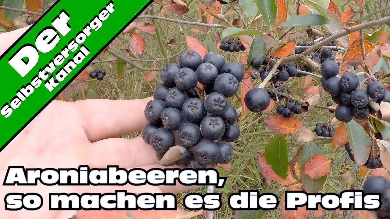 Lars Grossmann bei Selbstversorger