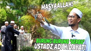 Download lagu MASYAALLAH ! BURUNG-BURUNG SAMBUT USTADZ ADI HIDAYAT DAN PARA ULAMA DUNIA..!! mp3 Download lagu MASYAALLAH ! BURUNG-BURUNG SAMBUT USTADZ ADI HIDAYAT DAN PARA ULAMA DUNIA..!! mp3