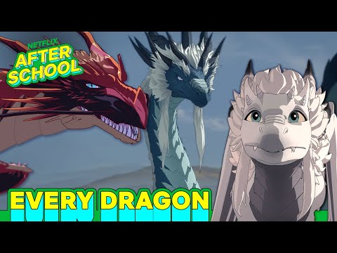 ALL the Dragons…So Far! 😲🐉 | The Dragon Prince | Netflix After School