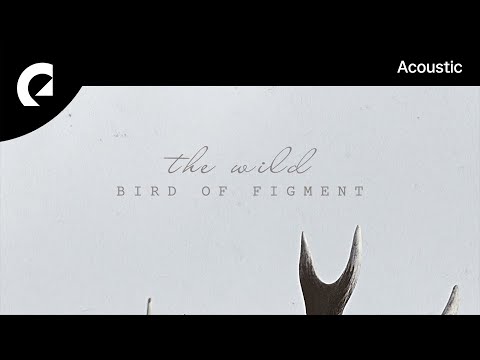 Bird Of Figment - The Wild
