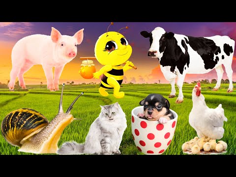Farm animal activities: Cat, horse, duck, sheep, elephant - Animal sounds - Part 12