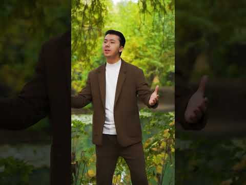 Tum Hi Ho - HAVAS guruhi (cover)