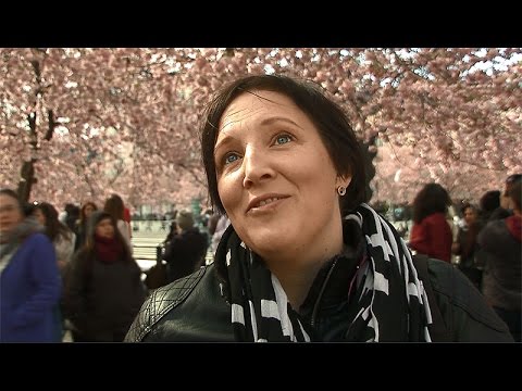 Amorteringskravet, hur påverkar det dig?