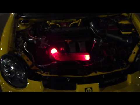 Killerglass Clear Radiator Hose in Dodge Neon SRT-4 engine bay @ Hot Import Night 9/11/2009