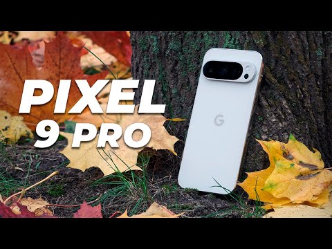 HADORKIN and Рыжий обзор