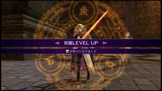 【FIRE EMBLEM】二周目ハードで味方全員生存を目指す#51【風花雪月】