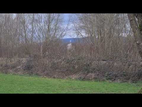 Neuaufstellung FS1200 Feueralarm zur Probe