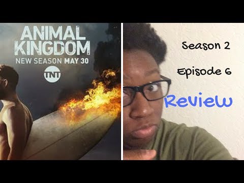 Animal Kingdom Season 2 Episode 6 Review - Recap