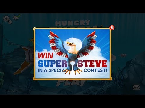 Super Steve Pet (Special Live Contest) - Hungry Shark World