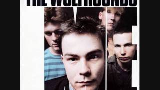 The Wolfhounds - Cold Shoulder (1987)