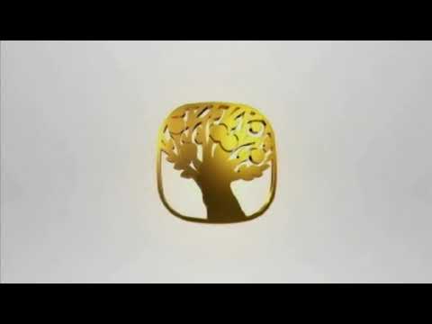 Ginseng, sibirski, prah BIO 250 g - Nutrisslim