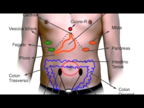 Sedia da ufficio da osteocondrosi Polvere osteocondrosi aertal