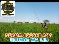 NDAMA JIGOSHILAGA UJUMBE WA LILI BY LWENGE STUDIO