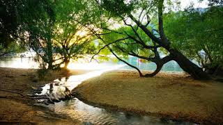 ATB - 2002 - Dedicated - 11 - I Wanna Cry