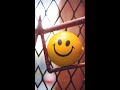 Happiness Smile Status ️ Happy Mood Whatsapp Status Smile Status ️