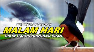 Download lagu 🔴 LIVE 55 - MASTERAN MURAI BATU MALAM HARI FULL ISIAN TEMBAKAN , AMPUH BUAT MURAI BATU BONGKAR ISIAN mp3