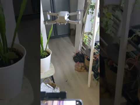 Когда решил проверить квадрокоптер после ремонта Dji mini 2