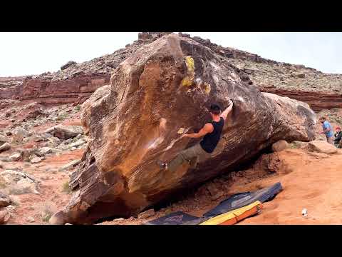 The Goose - Moe's Valley