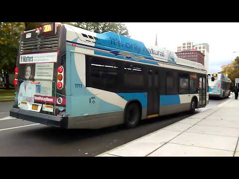 Nfta buses part 2