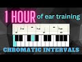 Interval Ear Training - 1 hour of hands-free ear training exercises